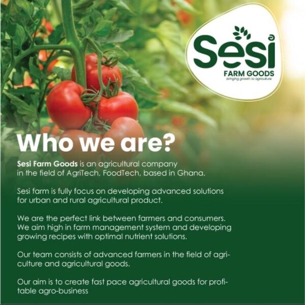 Sesi Foods and SFGs