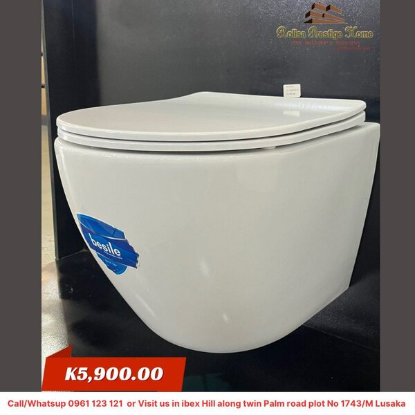 Wall hang toilet