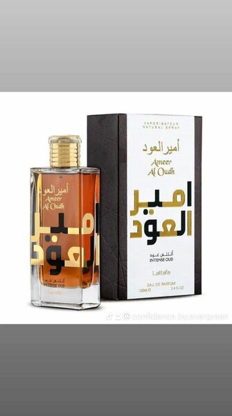 Ameer Al Oudh