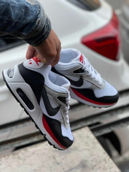 Baskets Air Max pour Homme