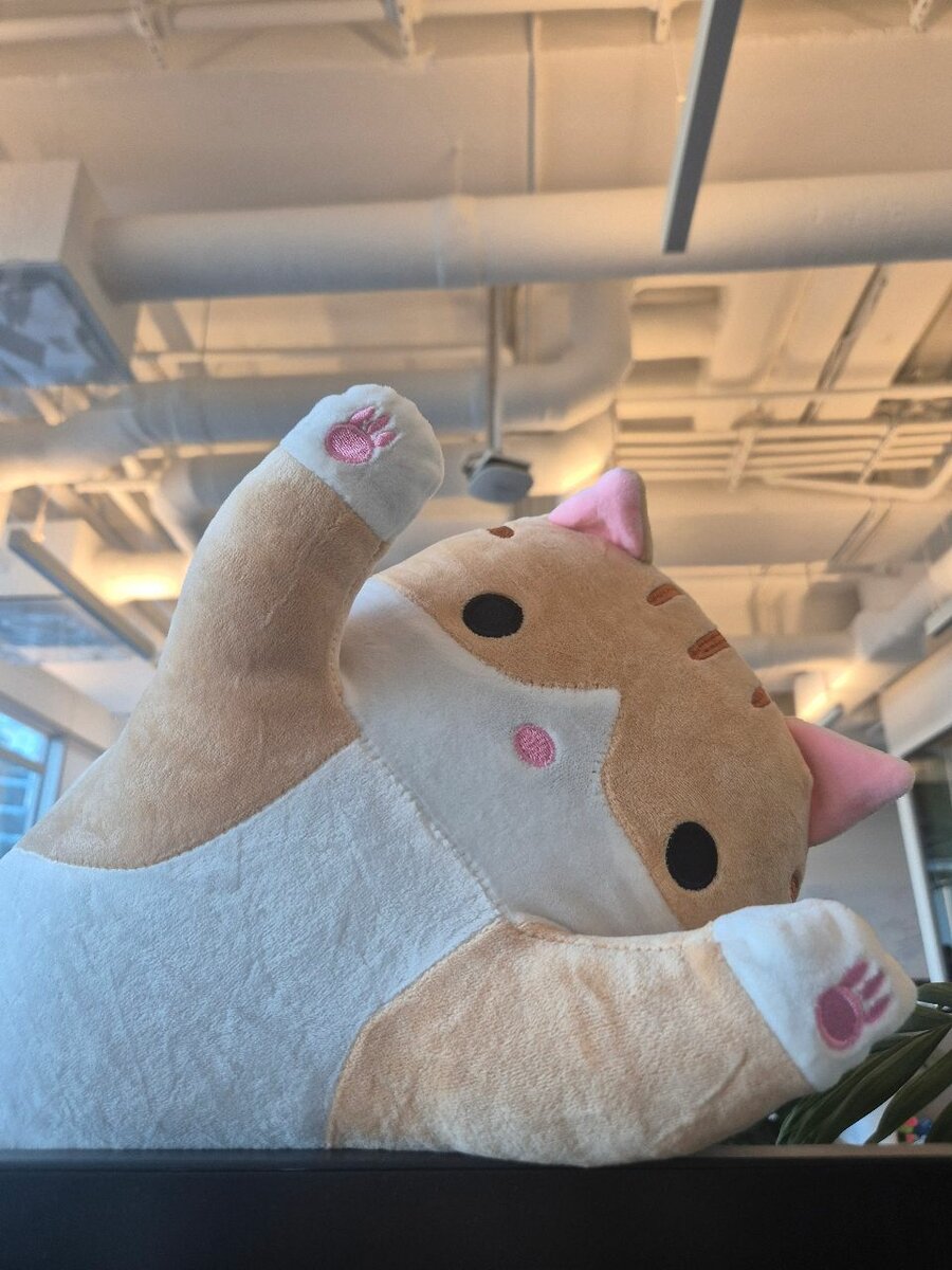 Cat Doctors Toys