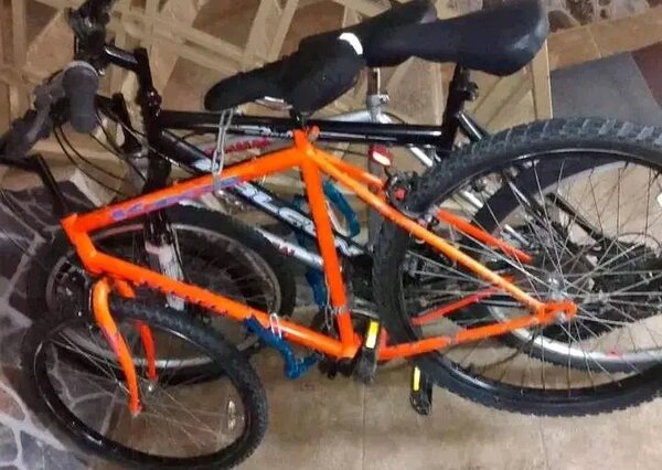 Vélos pour adultes et enfants