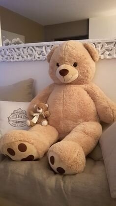 Teddy bear