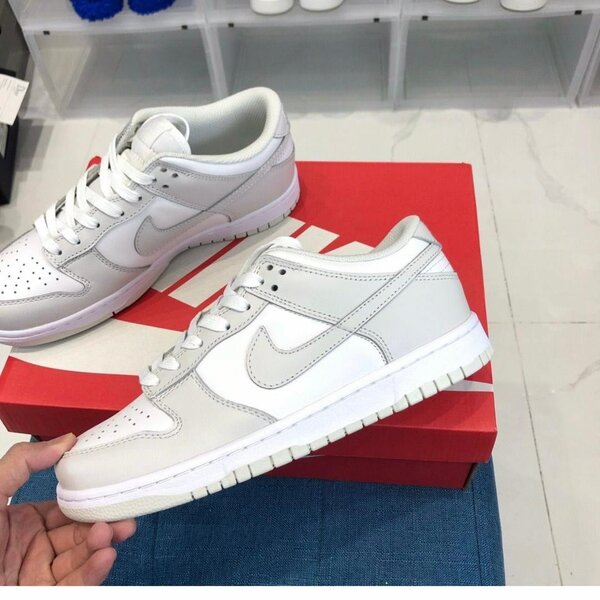 Nike sb dunk (ash)