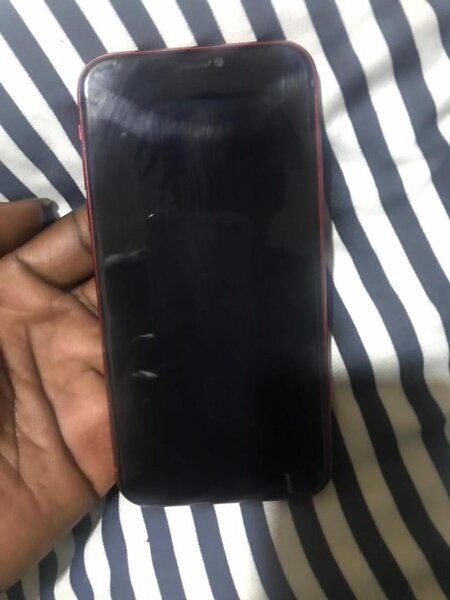 iPhone 11 64gig
