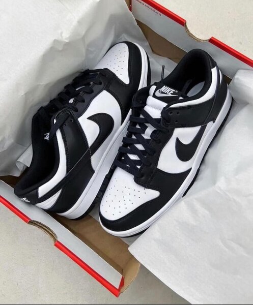 Nike sb