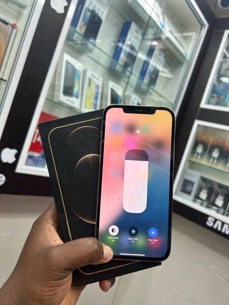 iPhone 12 Pro Max