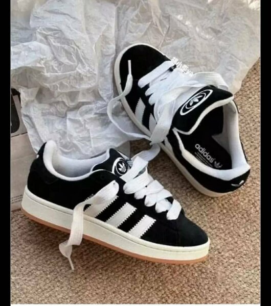 Campus adidas
