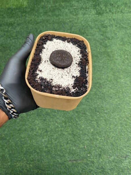 Tiramisu glacé Oreo