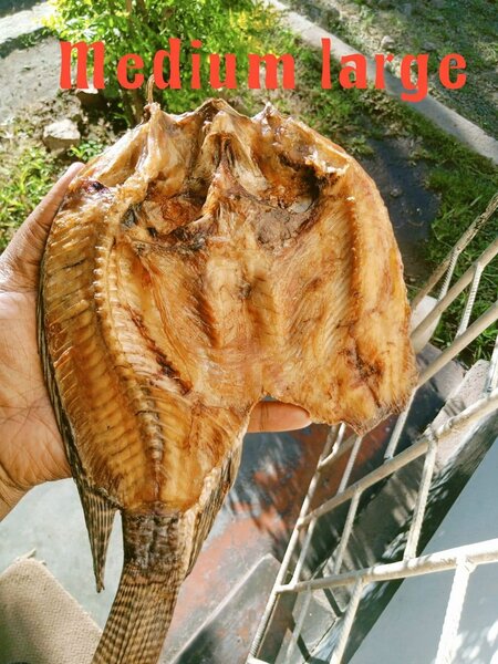 Semi dry fish