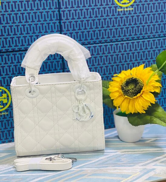 Ladies bags