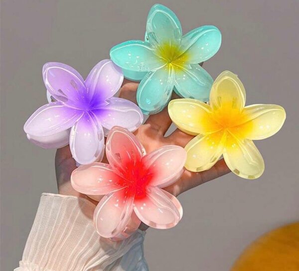 Claw clips