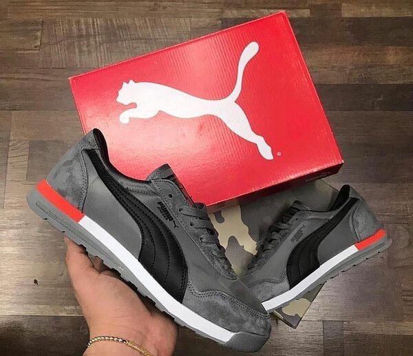 Fashion sneakers