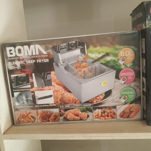 Electric Deep Fryer