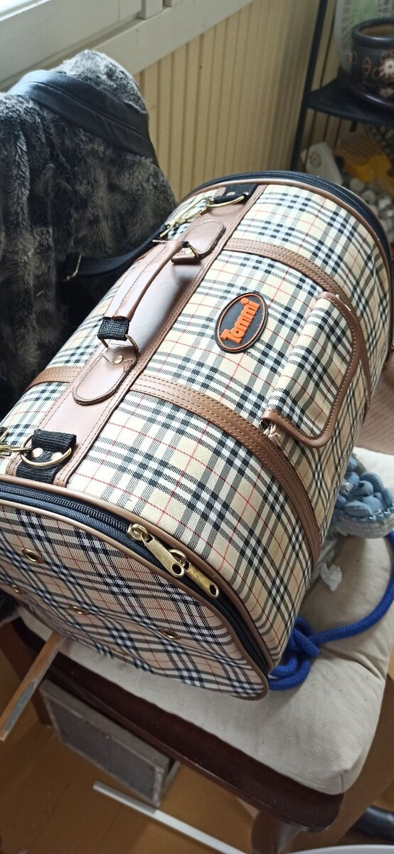 Designer Pet bag