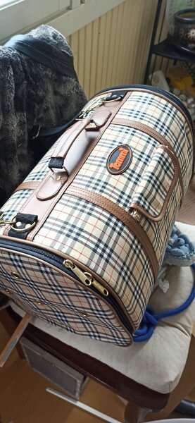 Designer Pet bag