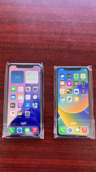 iPhone X