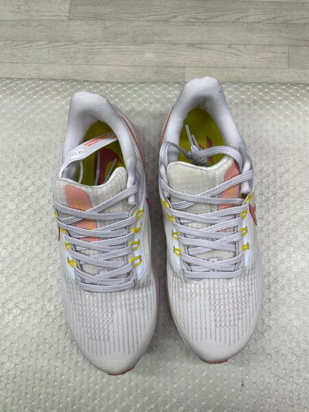 Nike pegasus 39