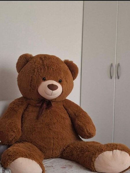 Teddy bear