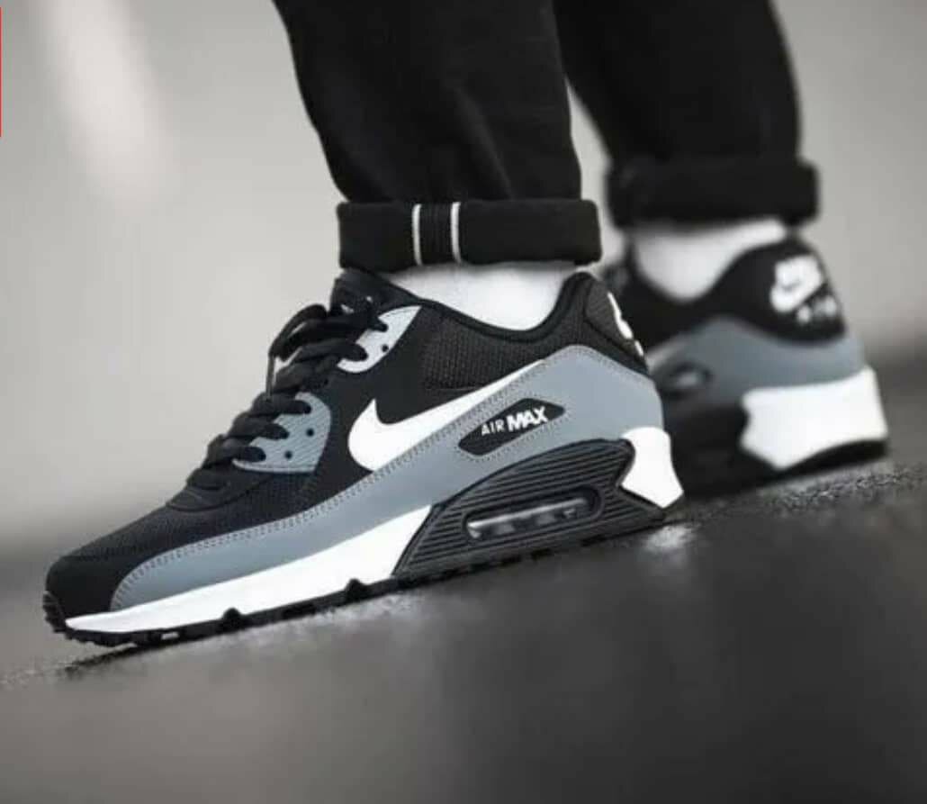 Baskets Air Max
