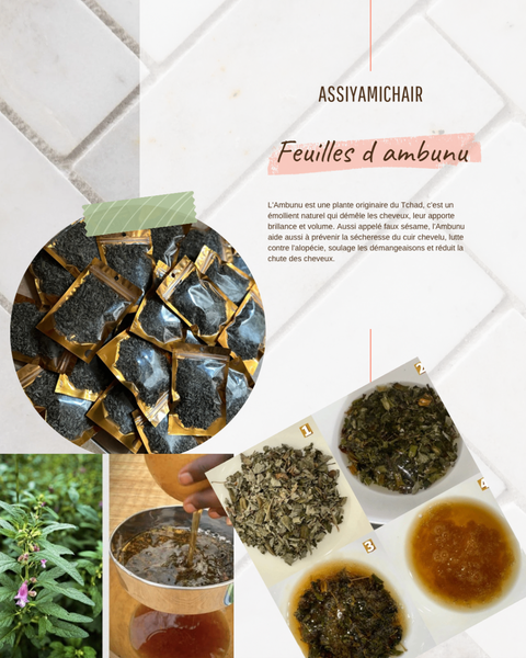 Feuille ambunu