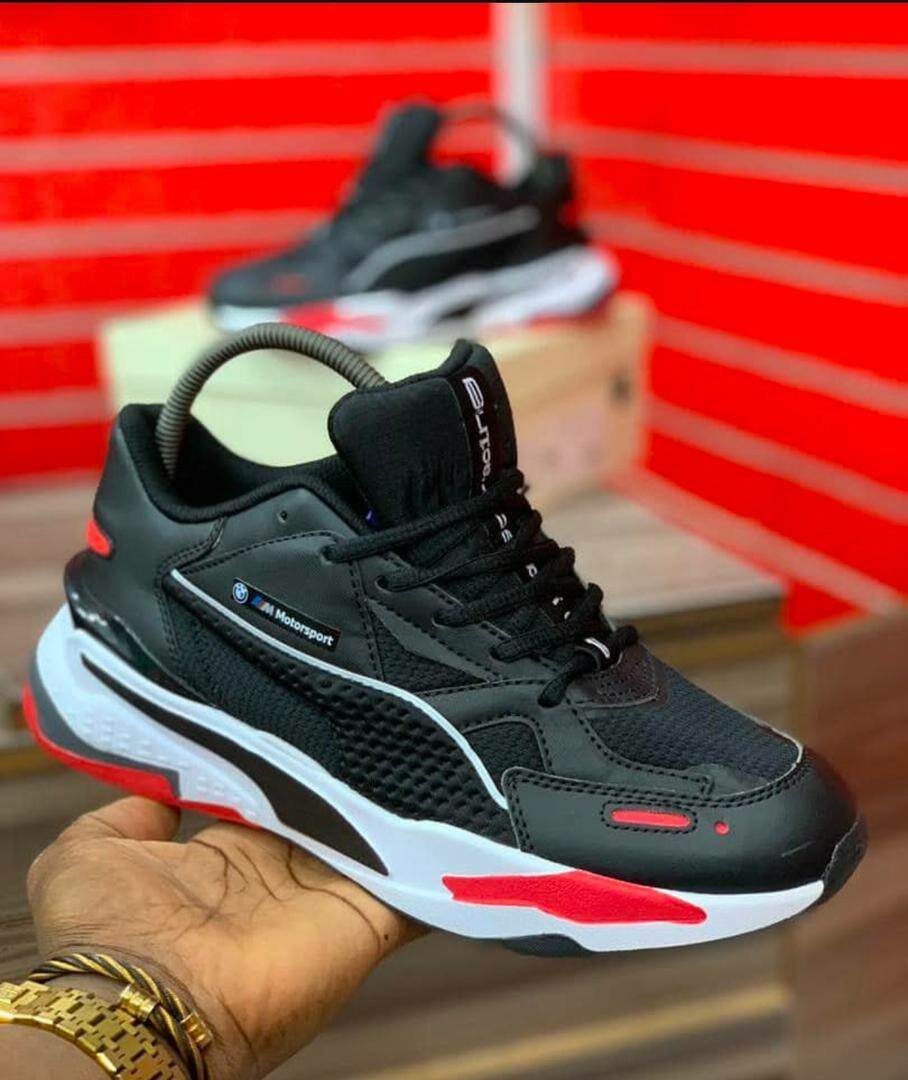 Puma sportif