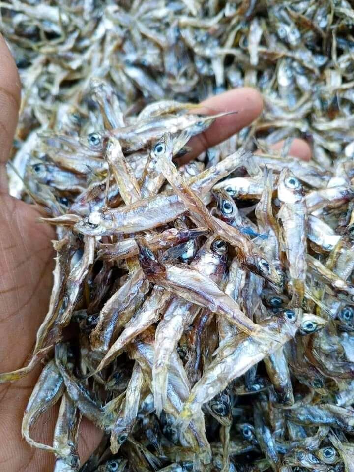 Siavonga Kapenta