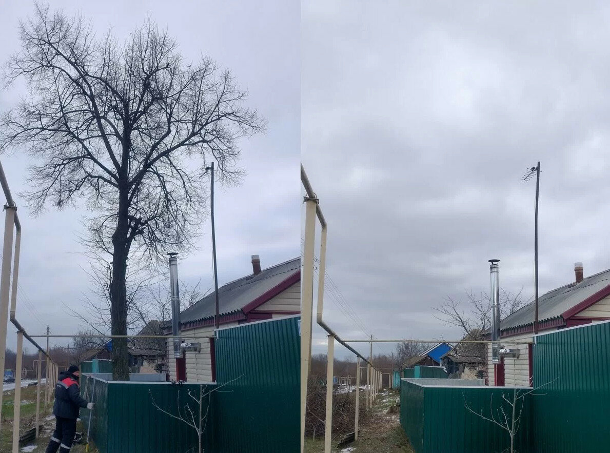 Арбористы услуги спиливания в труднодоступных местах пром альп