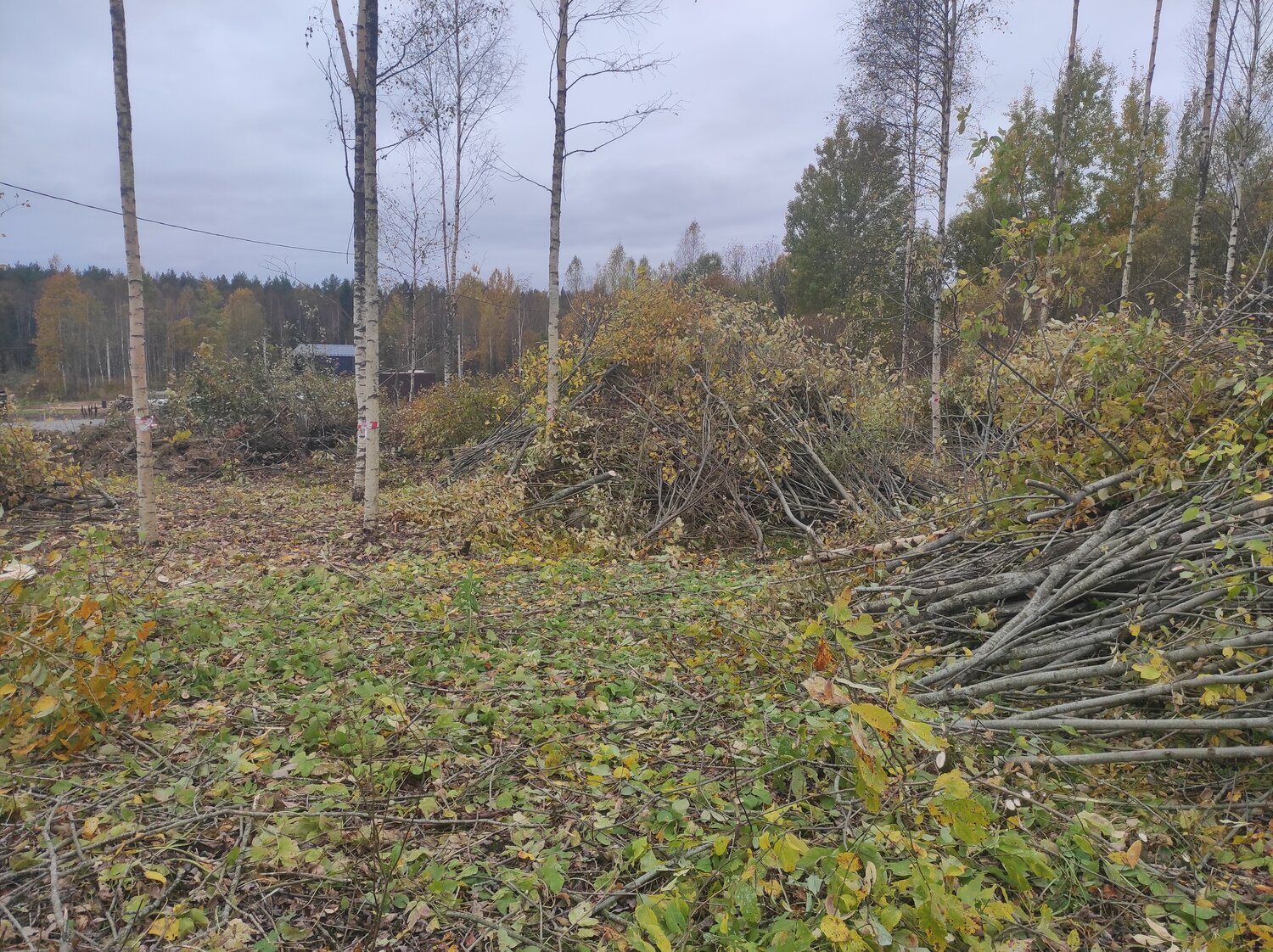 земельного участка, участка, участок 10 соток, участок 8 соток, снт рапполово