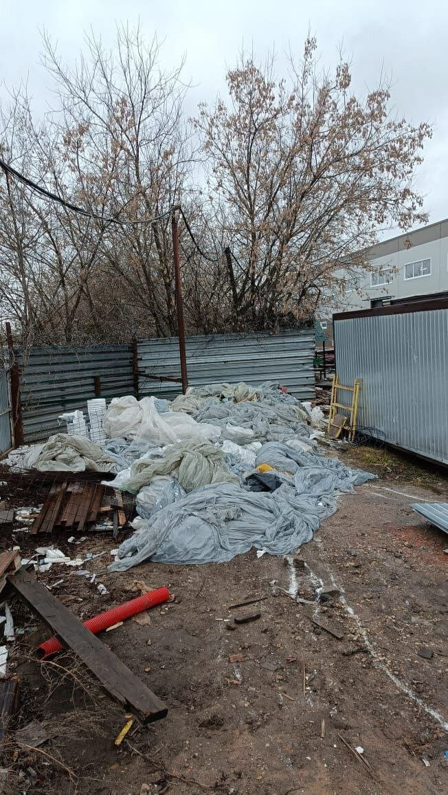 дерево абрикос, мусор, сад огород, отходы, огород