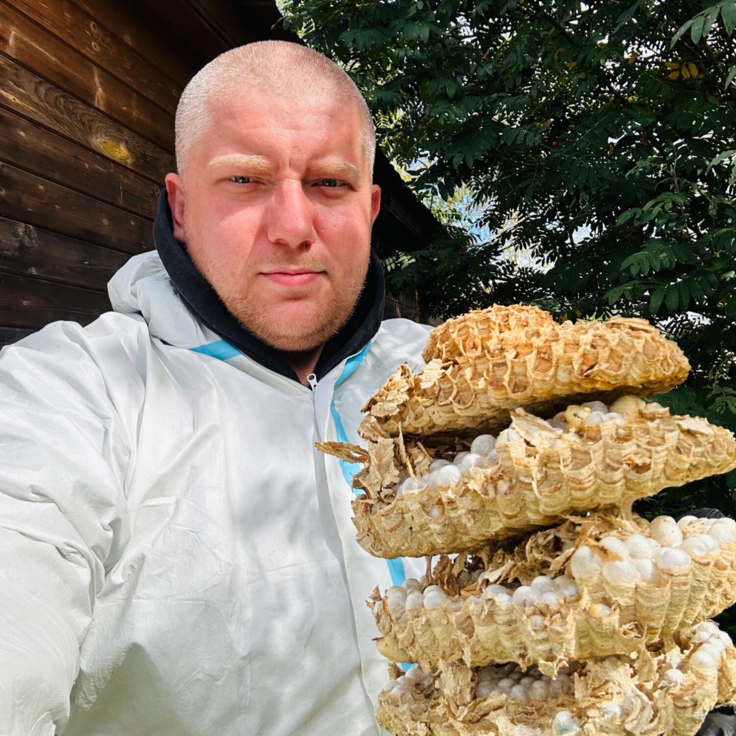 Служба Дезинфекции