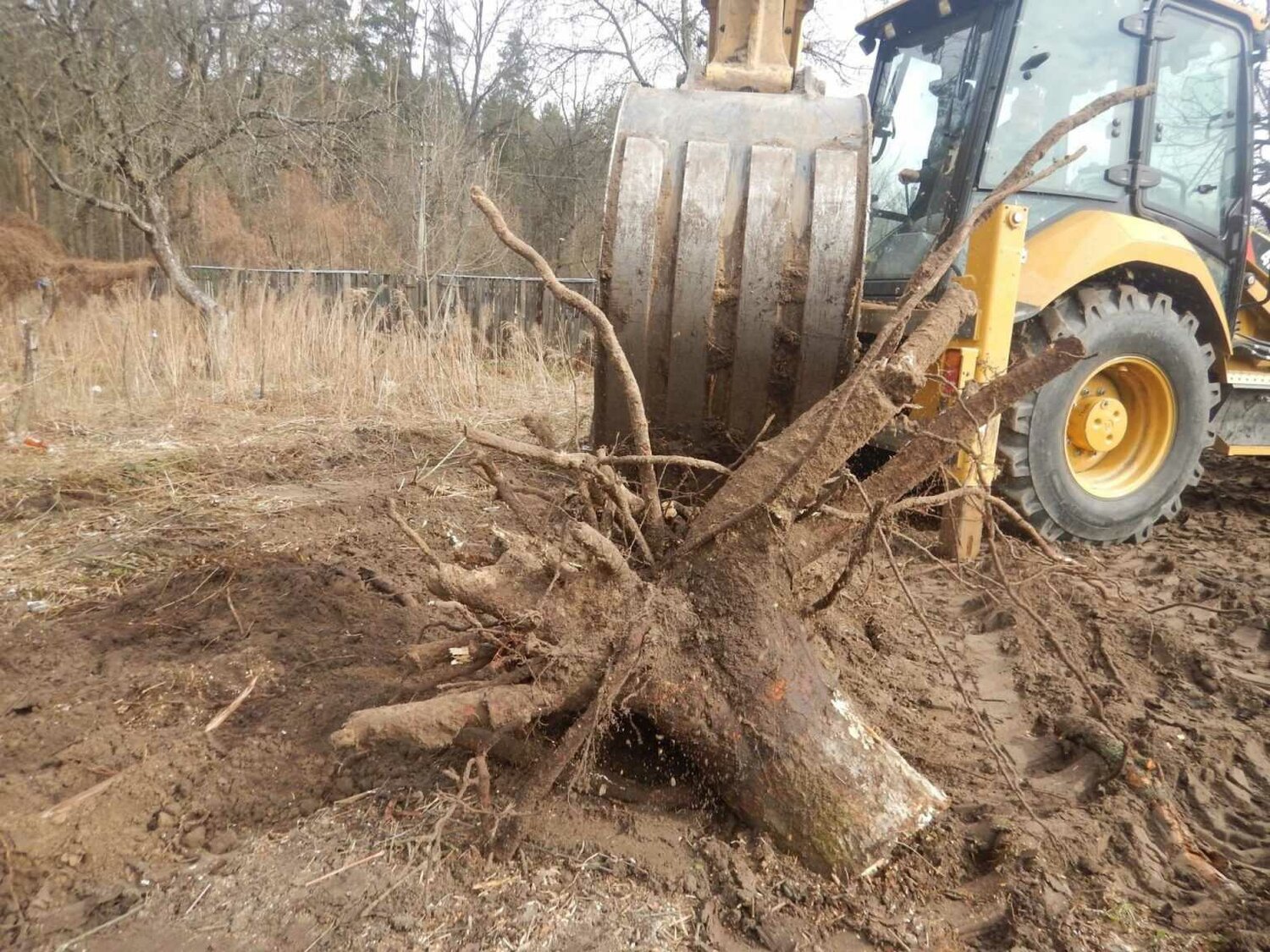 корчевание пней экскаватором, выкорчёвывание пней трактором, корчевка пней, выкорчевывание пней, корчевание пней экскаватором погрузчиком