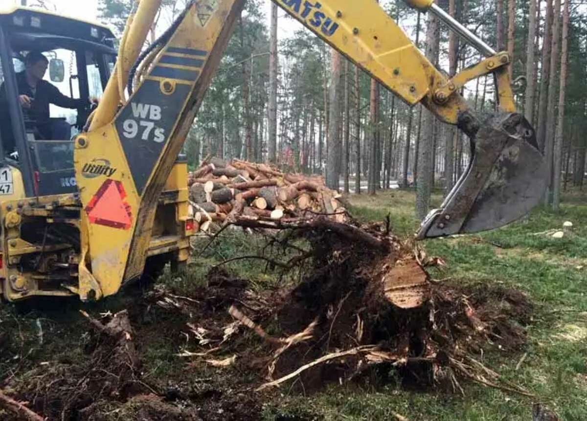 корчевание пней экскаватором, выкорчёвывание пней трактором, корчевание пней трактором, выкорчевывание пней, расчистка участка от деревьев и кустарников