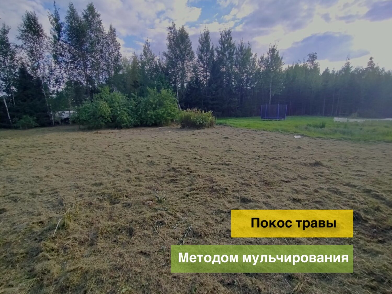 покос травы, земельного участка, газонная трава, участка, участок в деревне