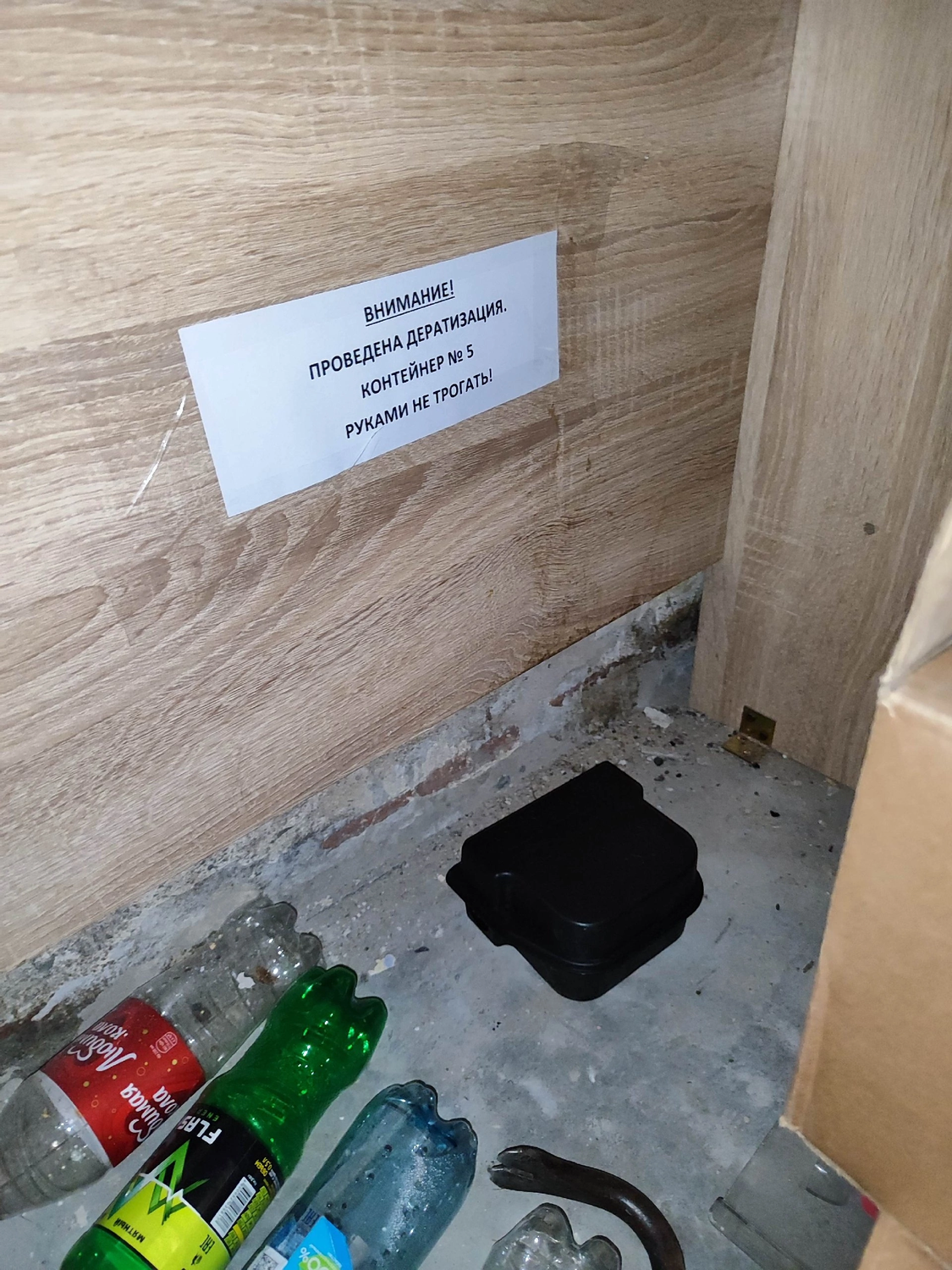 бутылка, напитка, пластиковая бутылка, напитки энергетики, энергетический напиток flash up energy