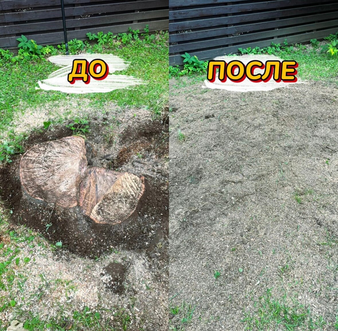 выкорчевывание пней, корчевание пней, удаление пней, дробление пней, выкорчевывание деревьев