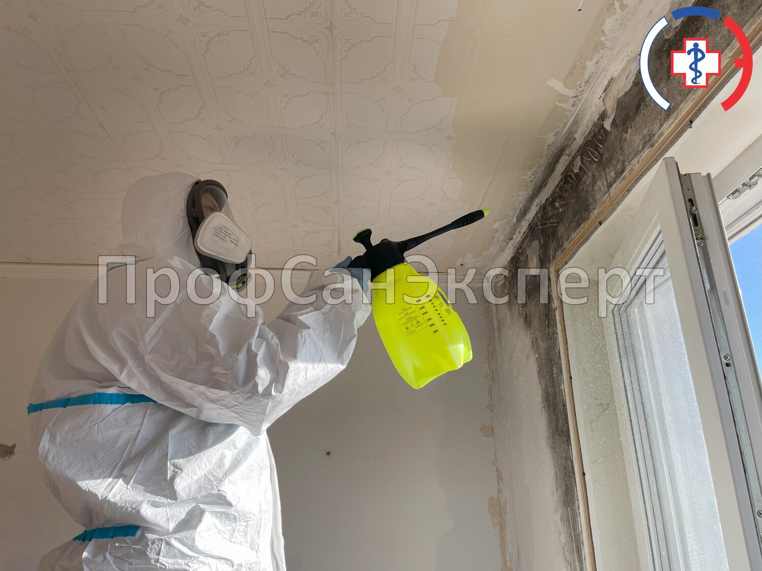 дезинфекция помещений, дезинфекция дезинсекция дератизация, дезинфекции, дезинсекция, дезинфекция от клопов