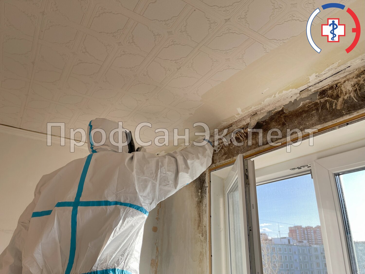 дезинфекция помещений, дезинфекции, гипсовая штукатурка, гипсовая шпаклевка, шпатлевка потолка