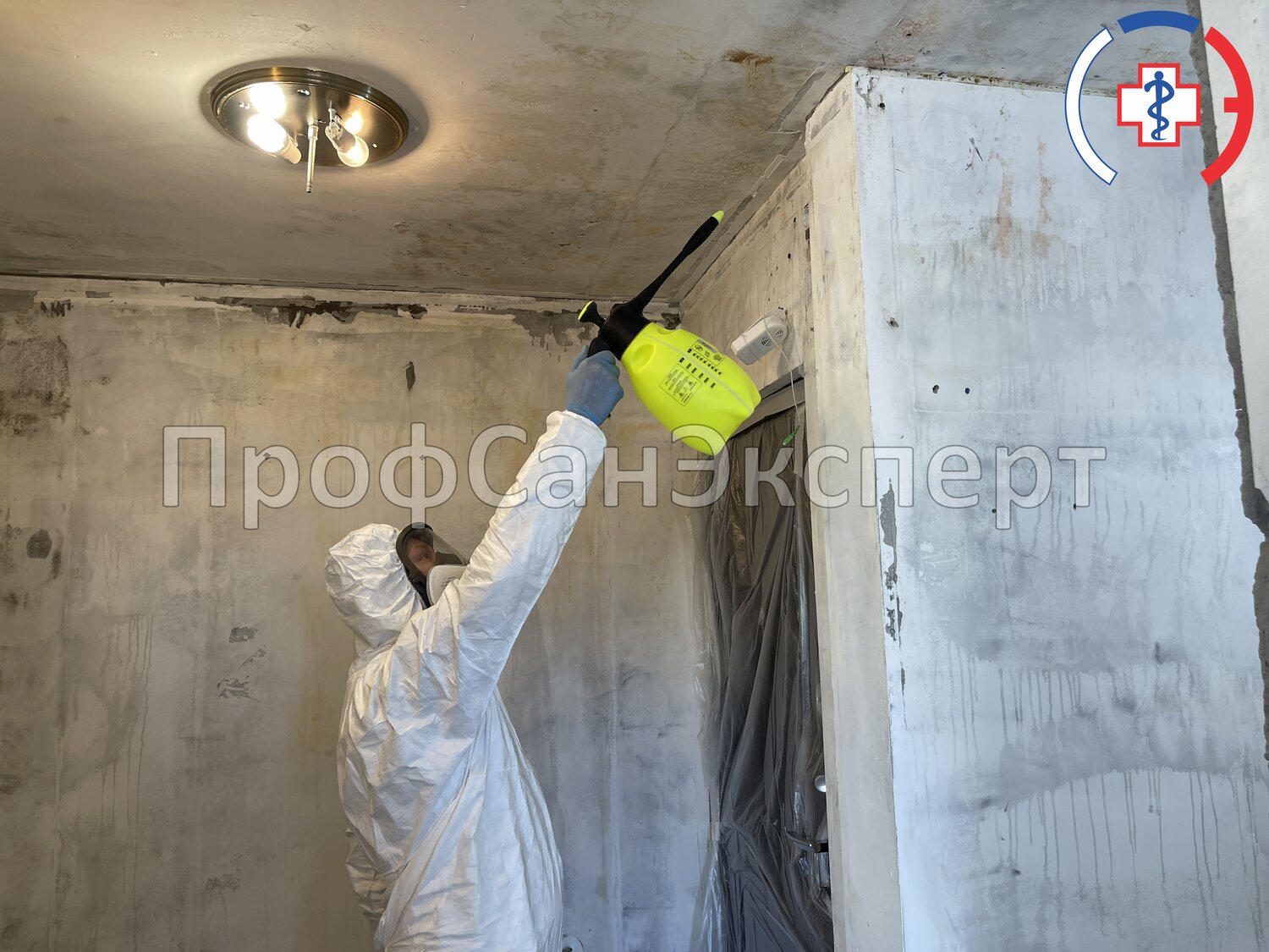 дезинфекция помещений, дезинфекция от плесени и грибка, дезинфекция дезинсекция дератизация, механизированная штукатурка стен, шпаклевка стен