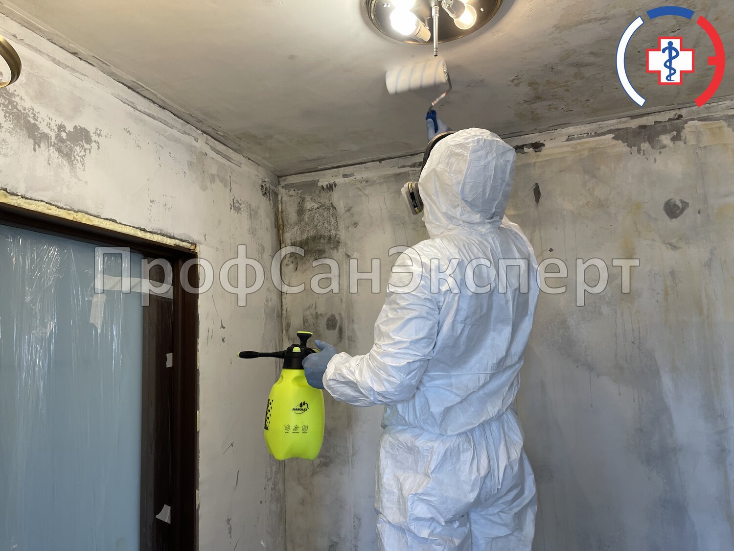 дезинфекция дезинсекция дератизация, дезинфекция помещений, дезинфекции, дезинфекция тараканов, дезинфекция после трупа