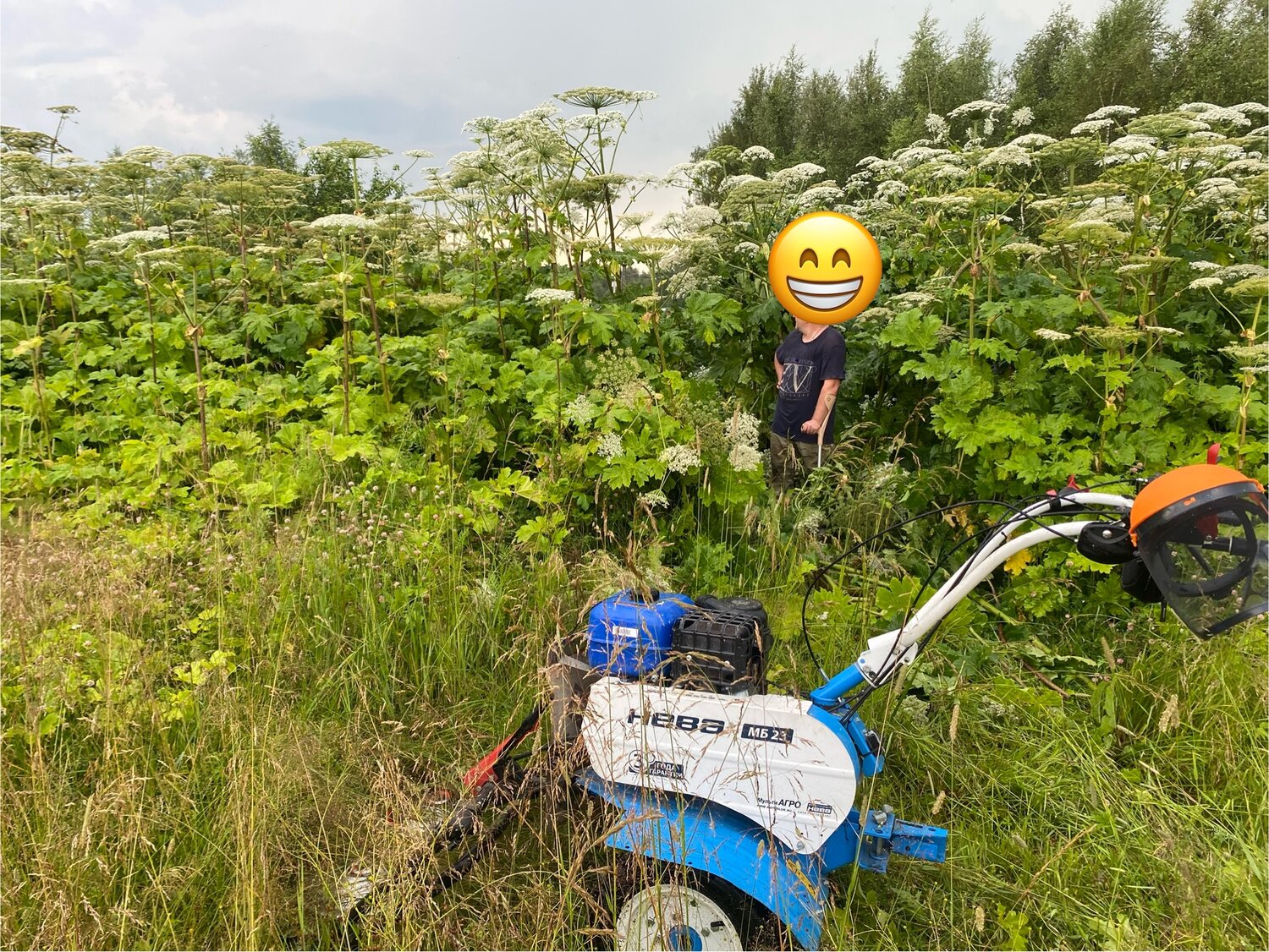 мотоблок нева мб, мотоблок нева мб 2, мотоблоки нева, мотоблок нева мб 23 мультиагро, мотоблок с косилкой