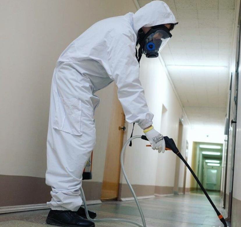 дезинфекция, дезинсекция, уничтожение клопов, дезинфекция дезинсекция дератизация, дератизация и дезинсекция