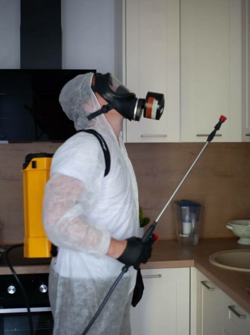 дезинсекция, дезинфекция, дезинсекция и дератизация, дезинфекция дезинсекция дератизация, дезинфекция людей