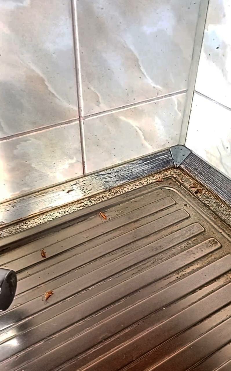 душевой поддон, душевая кабина с тиковым поддоном, душевая кабина, пол в душевой, дверь в автодоме для душевой