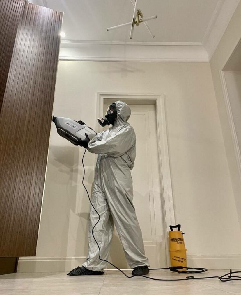 дезинсекция, дезинфекция, дезинфекция дезинсекция дератизация, дератизация, дезинфекция и дезинсекция