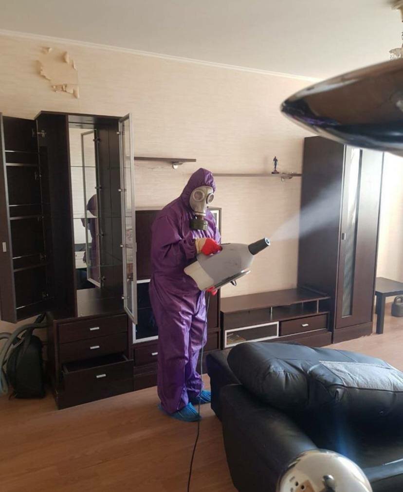 дезинфекция, дезинсекция, дезинфекция и дезинсекция, дезинфекция помещений, дезинфекция дезинсекция дератизация