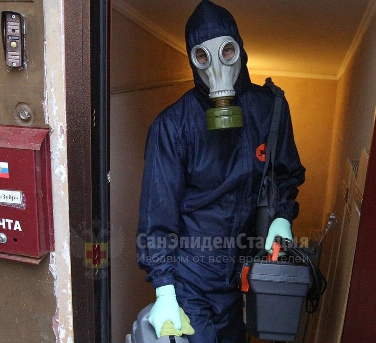 дезинсекция, дезинфекция, нестор дезинсектор, дезинфекция от клопов, дезинфекция дезинсекция дератизация