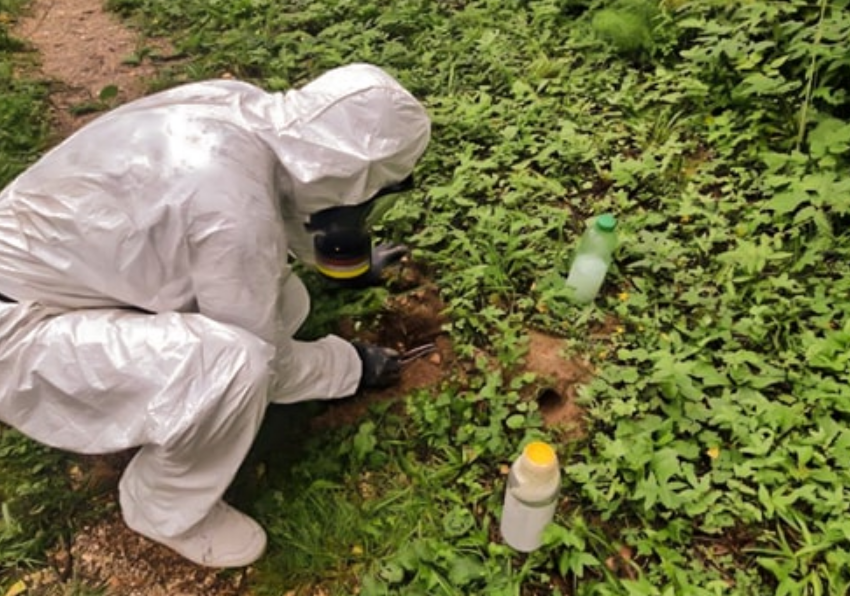 ядохимикаты, гербициды, пестициды, дератизация от кротов, пестициды инсектициды гербициды