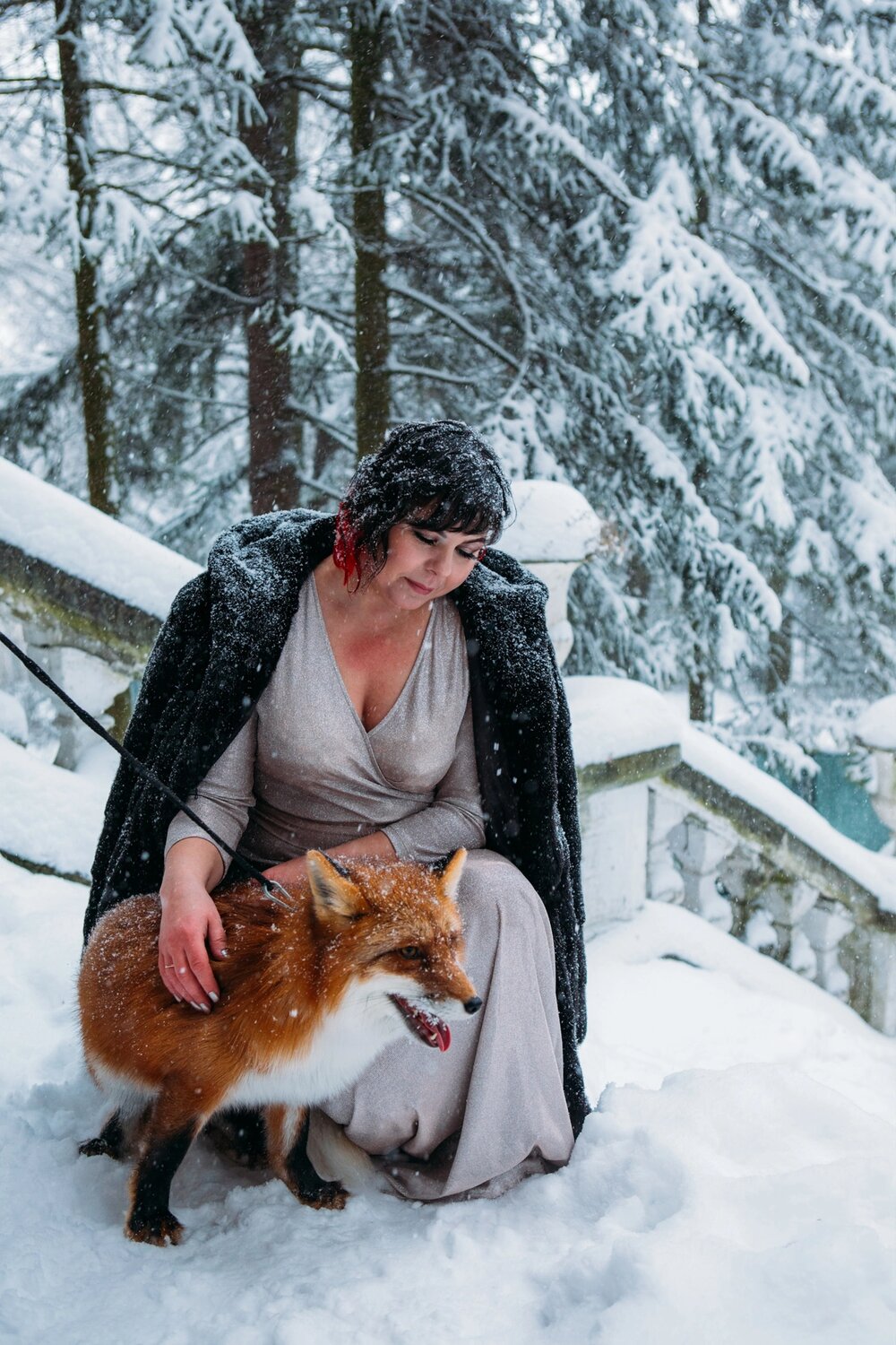 зимняя фотосессия с лисой, лиса, мария зверева, лиса на снегу, сказочная лиса