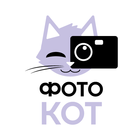 кот, фотоквест, котэ, фотоуслуги, фотоцентр